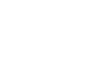 Silkoon